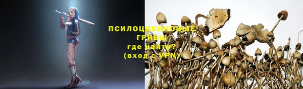 спиды Армянск