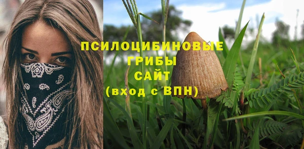 тгк Арсеньев