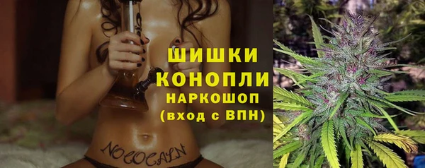 тгк Арсеньев
